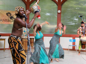 V Liberci startují doteky Afriky, Bárta mluvil o vážkách