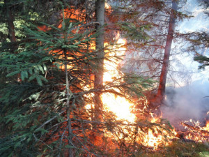 Požár v Jizerských horách se hasičům asi podařilo zlikvidovat