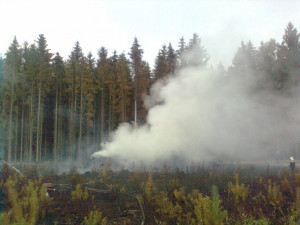 AKTUÁLNĚ: Hasiči bojují s velkým lesním požárem u Bezdězu