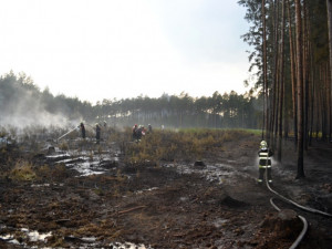 Požár lesa u Bezdězu se podařilo v noci uhasit. Foto: HZSLK