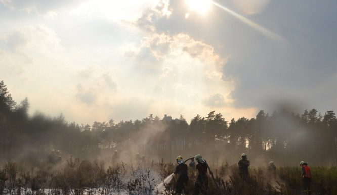 Požár lesa u Bezdězu se podařilo v noci uhasit. Foto: HZSLK