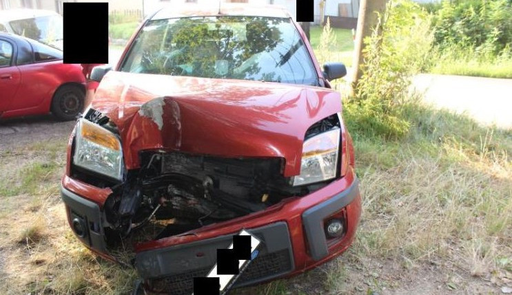 Podnapilou řidičku bodla vosa. Žena se lekla a havarovala