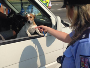 Alkohol za volantem? V Liberci si řidiči dávají pozor