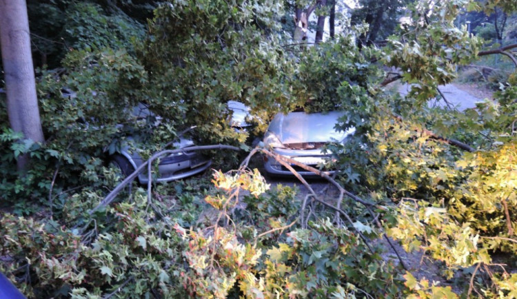 Kmen stromu zdemoloval čtyři auta v Rochlici. Foto: HZSLK