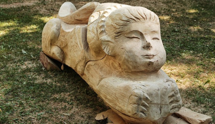 Ilustrační foto z loňského roku: ZOO Liberec