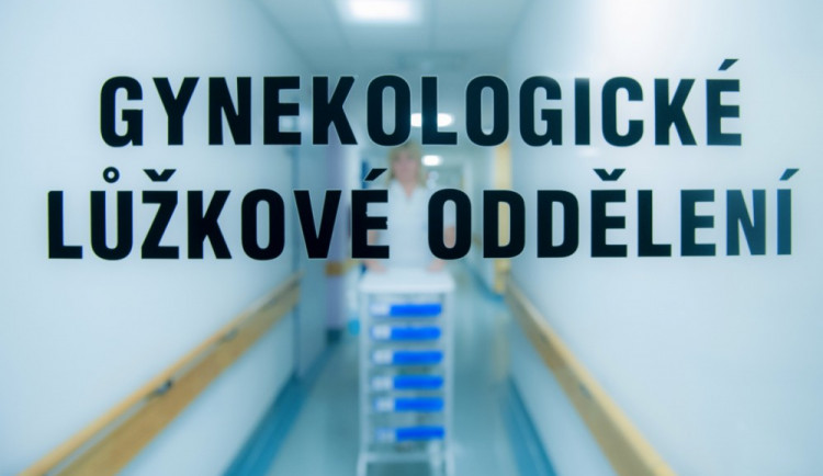 Ilustrační foto:KNL