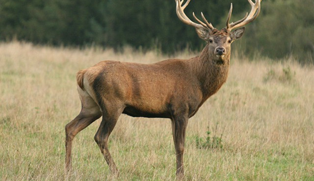 Ilustrační foto: Vimperk.cz