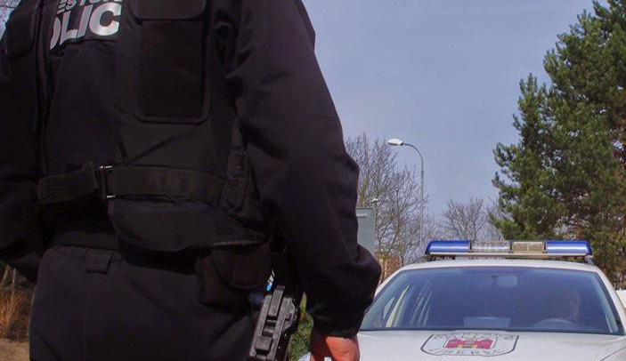 Městská policie. Ilustrační foto: MP Liberec