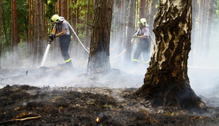 Ilustrační foto: HZSLK