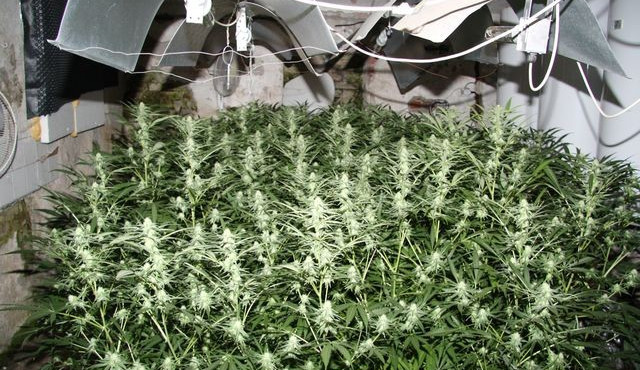 Ilustrační foto: Policie ČR