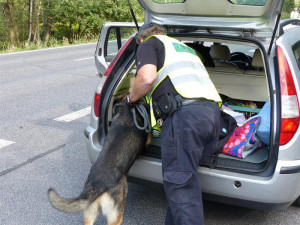 Od marihuany až po kokain. Celníci se na Mácháči činili. Foto: Celní správa