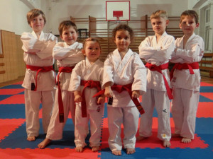 Malí karatisté z libereckého Gryfu