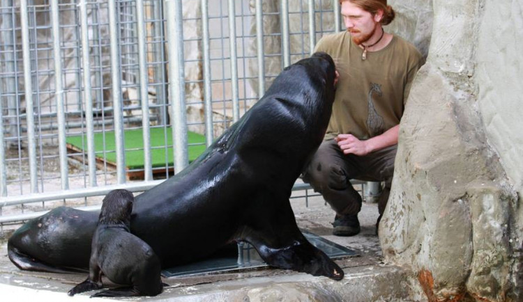 11914107_909327035788388_9157424820939213815_n