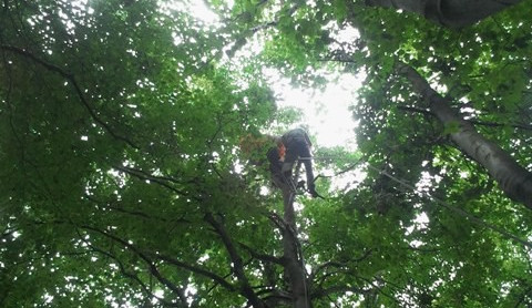 Krátký let paraglidisty se šťastným koncem. Foto: HZSLK