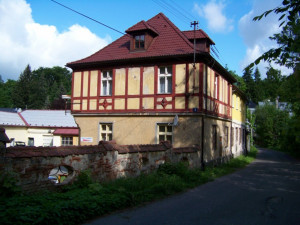 Vyřezávané poprsí skončilo pod fasádou. Foto: liberec-reichenberg.net