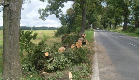 Ilustrační foto: Pertoltice