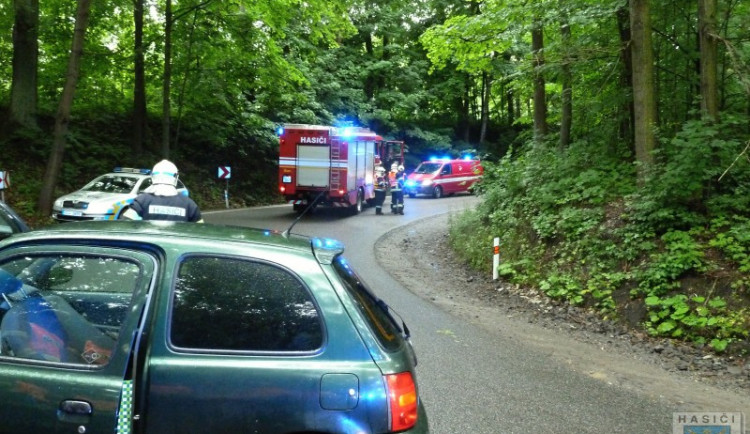Ilustrační foto: Hasiči Hrádek