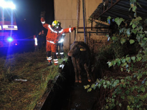 Telata spadla do nádrže s vodou, vytáhl je jeřáb. Foto: HZSLK