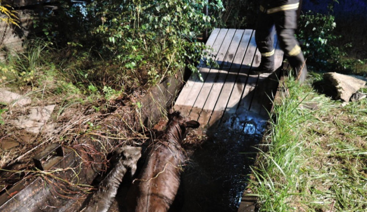 Telata spadla do nádrže s vodou, vytáhl je jeřáb. Foto: HZSLK