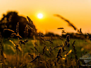 Foto: Jiří Částka