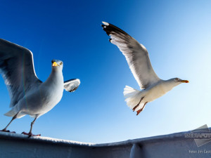 Foto: Jiří Částka