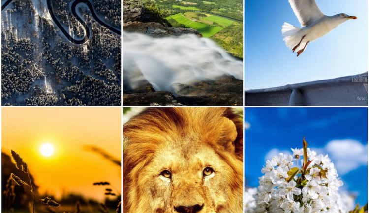 Foto: Jiří Částka