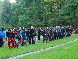 Kynologický Liberecký pohár ovládli Petra Stehlíková a Gaspr Seliven