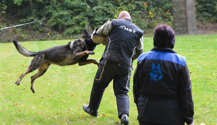 Kynologický Liberecký pohár ovládli Petra Stehlíková a Gaspr Seliven