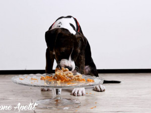 Piškotový dort s lososovým krémem, mrkví, karobem a chia semínky.