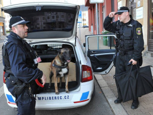 Cash. Foto: MP Liberec