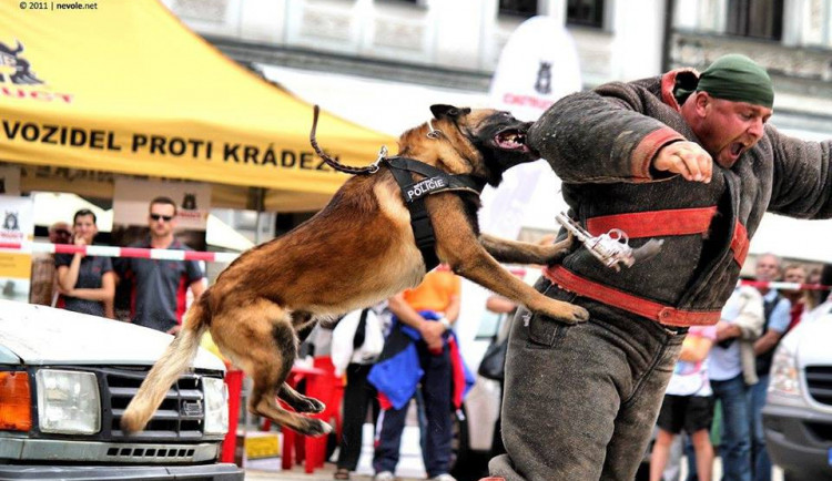 Cash. Foto: MP Liberec