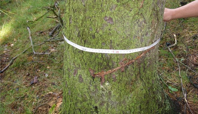 Ilustrační foto: Policie ČR