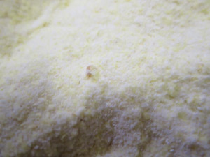 Samoobsluha v Kristiánově před inspektory neobstála. Zbožím hýbali červi