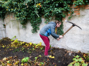 Dobrovolníci se pustili do úklidu zanedbaného pozemku v Komenského ulici