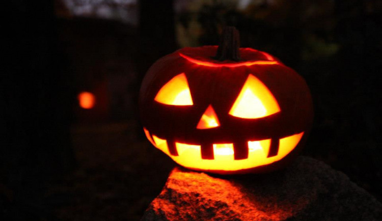 Liberecká zoo si pro malé návštěvníky opět připravila strašidelné prohlídky