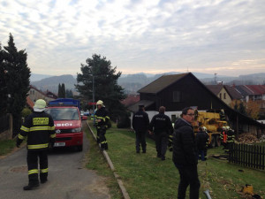 Jeřáb skončil v rodinném domě