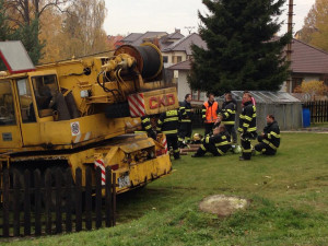 Jeřáb skončil v rodinném domě
