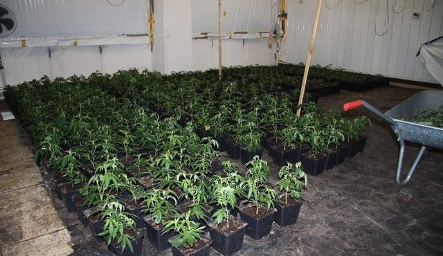 Pěstírna ve Vratislavicích