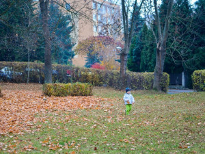 Liberec chystá obnovu dvou parků, zapojí se do ní i veřejnost