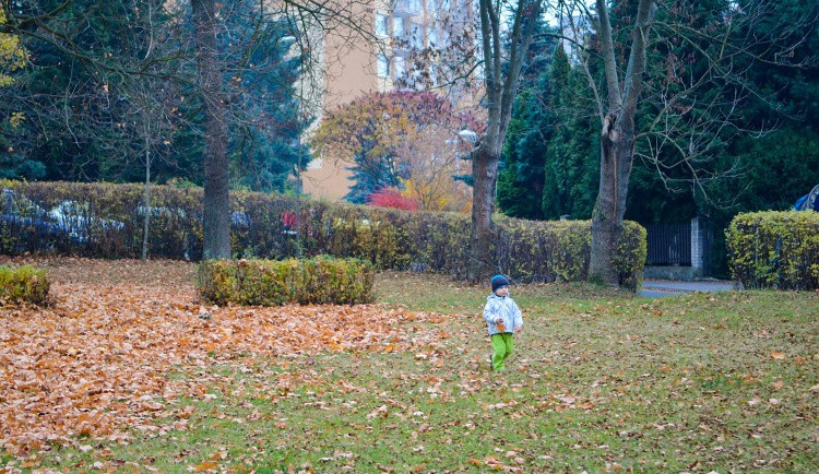 Liberec chystá obnovu dvou parků, zapojí se i veřejnost