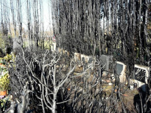 Hořící tůje na chrastavském hřbitově poškodily více než 20 náhrobků