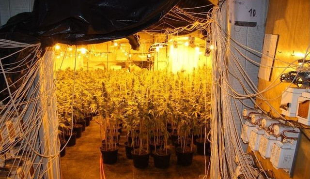 Pěstírna ve Vratislavicích