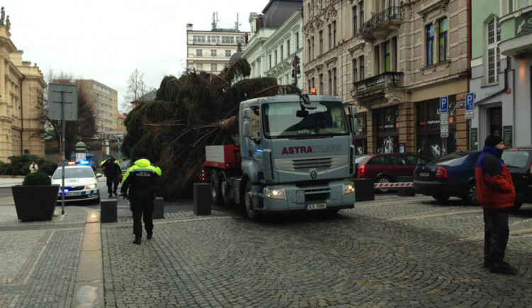Advent může začít! Patnáctimetrový smrk v pátek dorazil před libereckou radnici