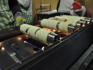 Na "Benešáku" se rozsvítil vánoční strom, letos napoprvé