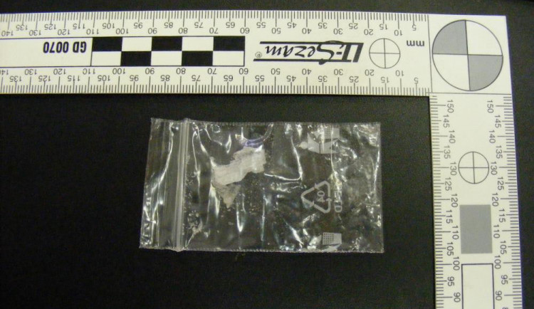 Další úspěch Toxi týmu. Údajný drogový dealer skončil v rukou policistů