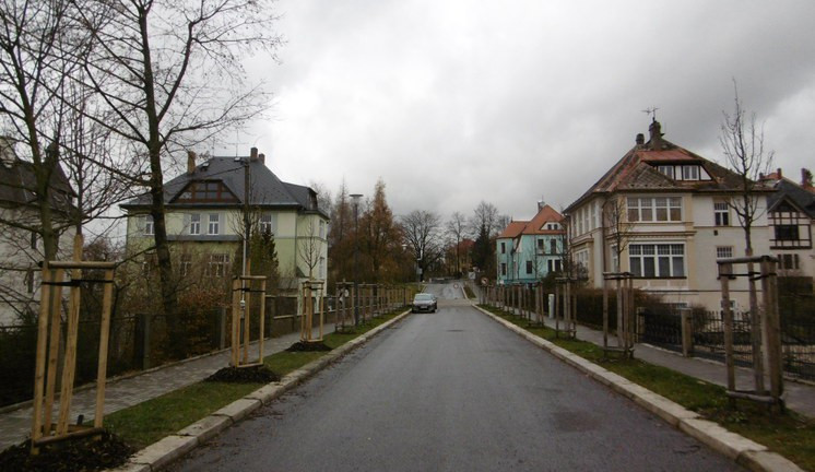 Poničené stromořadí za muzeem je opět kompletní. Vandala se odhalit nepodařilo