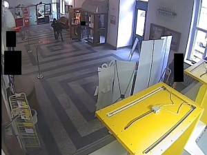 Poznáváte tyhle zlodějky? Kamera je zachytila, jak okrádají seniorku na poště