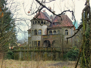 Vila továrníka Wolfa