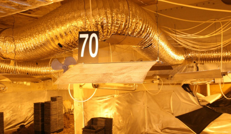 Pěstírna ve Vratislavicích byla na vysoké úrovni