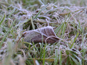 Meteorologové varují před ledovkou, hrozí až do zítřejšího dopoledne